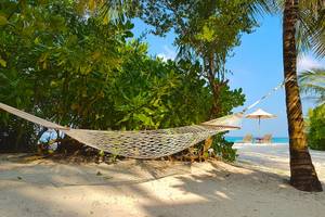 Eine Sonnenliege am Strand unter einer Palme im Barefoot Eco Hotel.