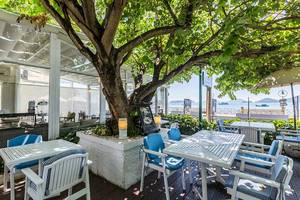 Außenterrasse des Cape Panwa Hotels mit Tischen, Stühlen und einem großen Baum