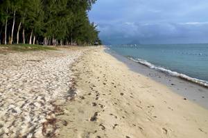 Strand mit Sand und Bäumen im Hintergrund, wo das Sofitel Mauritius L'Imperial Resort & Spa liegt