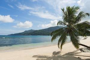 Fisherman's Cove Resort in Seychellen