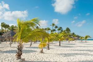 Manchebo Beach Resort & Spa in Aruba & Bonaire