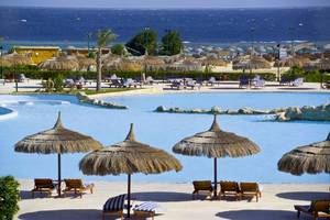 Gorgonia Beach Resort Poolbereich mit vielen Liegestühlen und Sonnenschirmen am Meer