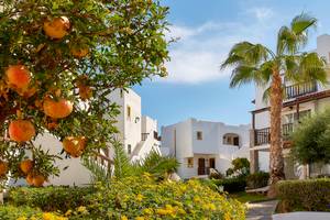 Alexander Beach Hotel & Village in Heraklion