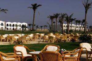 Terrasse des Gorgonia Beach Resorts mit vielen Stühlen und Tischen, umgeben von Palmen.