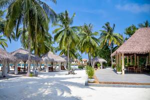 Reethi Faru Resort in Malediven