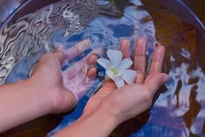 Hand hält eine Blume im Wasser im Velassaru Maldives