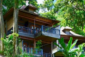 Das Hilton Seychelles Northolme Resort & Spa befindet sich inmitten eines Waldes mit vielen Bäumen und Pflanzen.