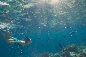 Frau schnorchelt im klaren Wasser mit vielen bunten Fischen und Korallenriffen