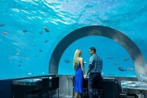 Ein Paar steht in einem Unterwasserrestaurant und betrachtet Fische im Aquarium.