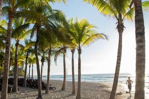 Strand des Sandos Caracol Eco Resorts mit Palmen und einem Läufer