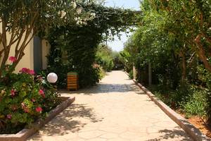 Gartenweg zum Europa Beach Hotel & Spa mit Gehweg und Pflanzen