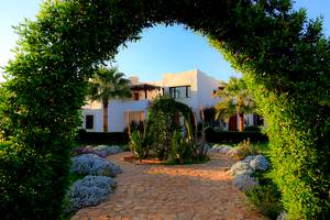 Eingang des Sharm Club Beach Resort mit gepflastertem Weg und grünen Büschen