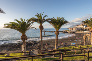 Strandblick auf den schwarzen Sandstrand von Porto da Cova mit hohen Palmen und einem Hotel im Hintergrund.