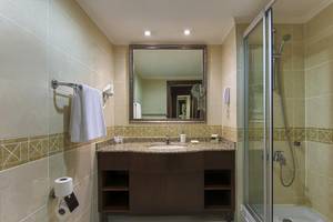 Badezimmer im Delphin Palace Hotel mit Waschbecken, Spiegel und Dusche.