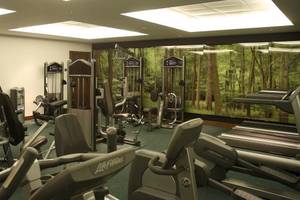 Fitnessraum im Park Plaza County Hall London mit verschiedenen Trainingsgeräten und grünem Hintergrund.