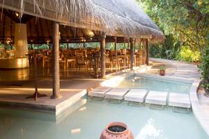 Poolbereich des Coco Palm Dhuni Kolhu Hotels mit umliegenden Tischen und Stühlen.