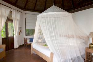 Ein Bett mit Moskitonetz im Coco Palm Dhuni Kolhu Hotelzimmer.