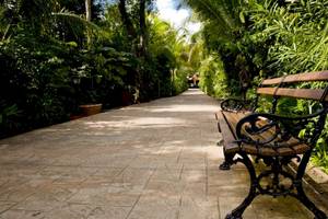 Gartenweg mit Bank im Catalonia Playa Maroma Hotel, umgeben von Pflanzen und Bäumen.