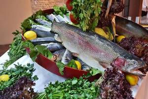 Frische Fische auf einem Buffet im Horus Paradise Luxury Resort.