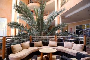 Lobby-Lounge des Eden Star Zarzis Hotels mit einem großen Palmenblatt im Vordergrund und bequemen Sofas.