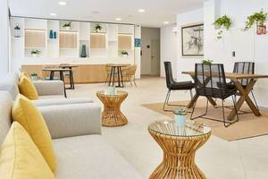 Innenbereich des Universal Aparthotel Elisa mit moderner Einrichtung, Sofas, Tischen und Pflanzen.