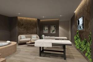 Innenansicht des Wellnessbereichs im Lago Hotel mit Whirlpool, Sofa, Massagetischen und Pflanzenwand.