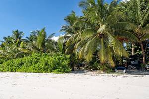 Strand mit Palmen und Boot am Strand Bliss Hotel Praslin