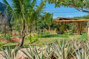 Anana Ecological Resort Krabi