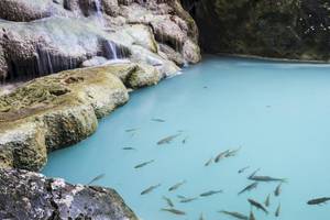 Kristallklares Wasser mit Fischen neben Felsen und Wasserfall im Centara Anda Dhevi Resort & Spa.