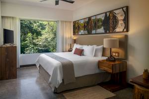 Hotelzimmer im El Mangroove, Autograph Collection mit großem Fenster, Ausblick auf Bäume, Bett, Fernseher und Nachttische.