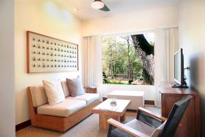 Hotelzimmer mit Sofa, Couchtisch, Fernseher und Fenster, das auf einen Wald hinausgeht