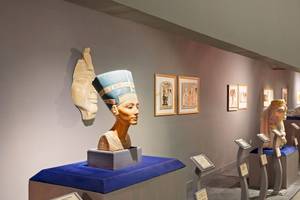 Sammlung alter ägyptischer Kunstwerke in einem Museum, darunter eine Statue der Königin