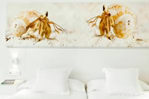 Hotelzimmer mit zwei Betten, weißen Kissen und Nachttischen, sowie einer Wand mit Meerestier-Bild.
