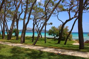 Iberostar Playa de Muro in Mallorca