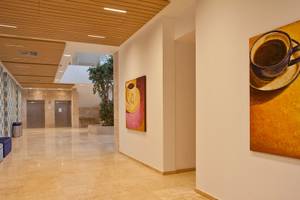 Der Flur des Seth 55 Santo Tomás Hotels mit Kunstwerken und einem Getränk auf dem Boden.