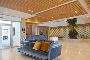 Lobby des Seth 55 Santo Tomás Hotels mit grauem Sofa, gelben Kissen und zentralem Baum.