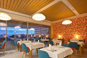 Innenansicht des Restaurants im Seth 55 Santo Tomás mit blauen Stühlen und orangen Wänden.