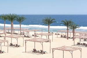 Strandszene mit Palmen, Liegen und Blick auf das Meer im Steigenberger Resort Alaya.