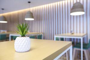 THB Gran Playa Hotel in Mallorca