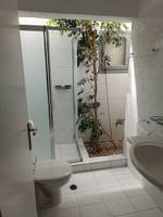Ein Badezimmer mit einer Glasdusche, einem WC, einem Waschbecken und einer Pflanze.