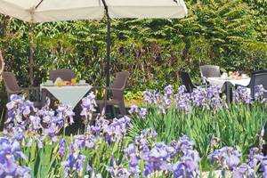 Frühstückstisch im Garten des Tre Archi Hotels mit Irisblumen im Vordergrund