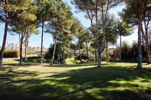 Beach Club Font de Sa Cala - Mallorca