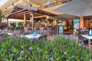 Hovima Jardin Caleta Hotel IN Teneriffa