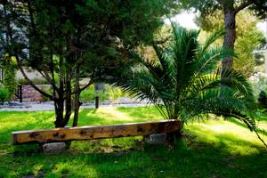 Paraiso de los Pinos - Formentera
