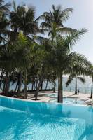 Fariones Hotel Außenpool mit Palmen und Meer im Hintergrund