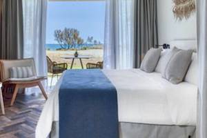 Domes Aulus Zante, Autograph Collection