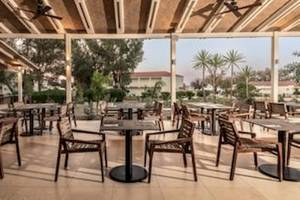 Domes Aulus Zante, Autograph Collection