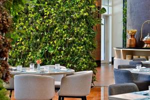 Innenansicht eines Restaurants im Ritz-Carlton Doha mit Sitzecke und grüner Wand.
