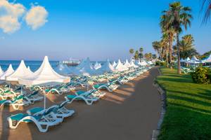 Außenbereich des Turquoise Hotels mit vielen Sonnenliegen und Sonnenschirmen am Strand.