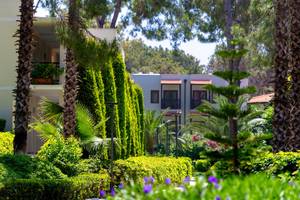 Gartenbereich des Turquoise Hotels mit Palmen und grünen Hecken.